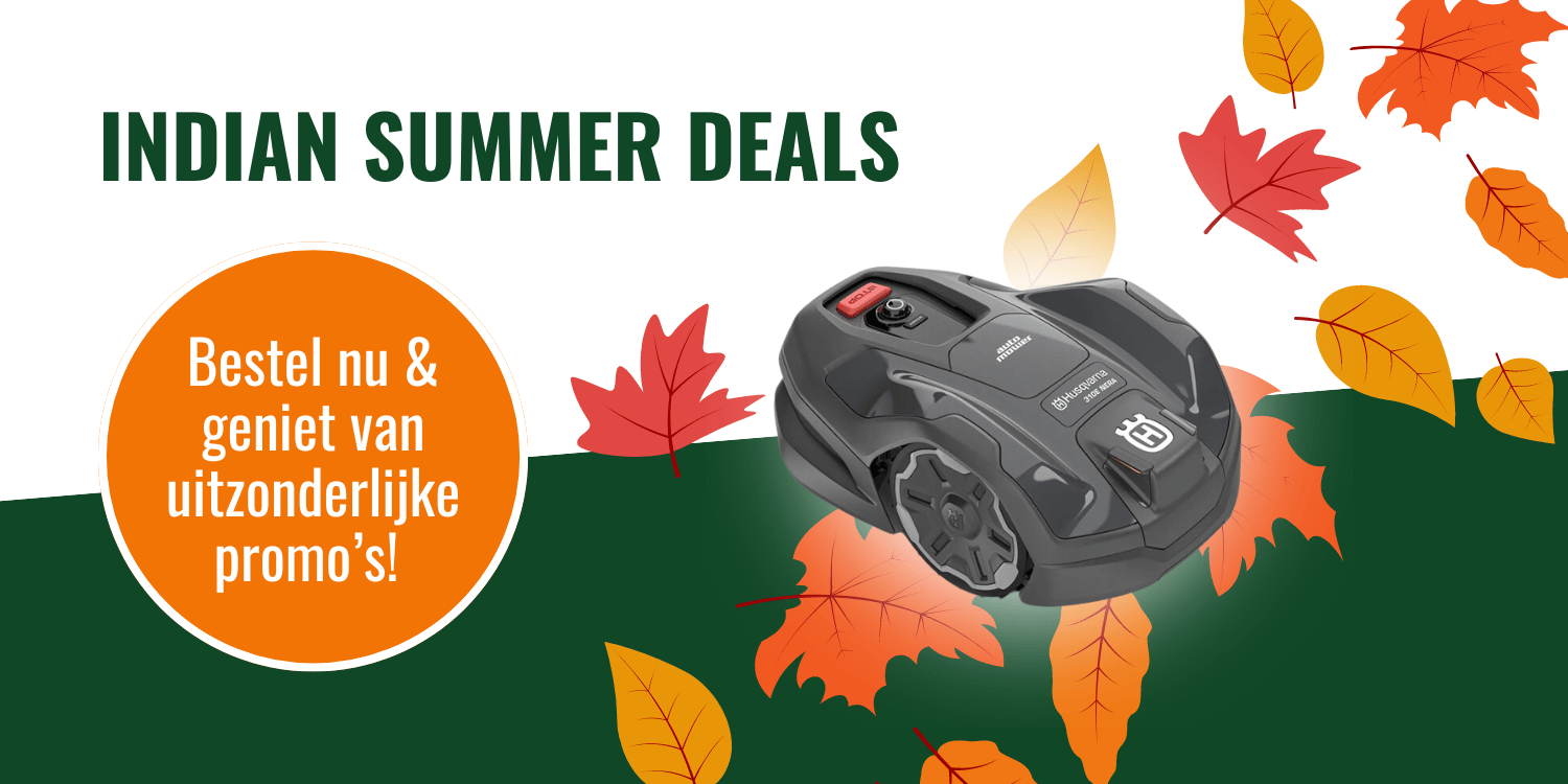 Indian Summer Deals