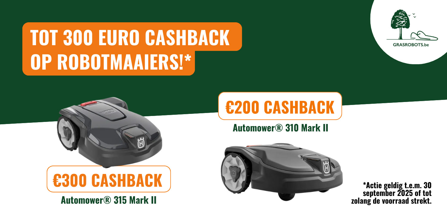 cashback