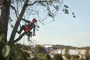 Husqvarna T535i XP®