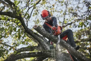 Husqvarna T535i XP®